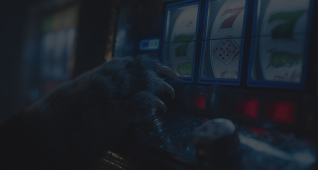 Bruno Casino